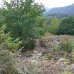 au Dessus de la Cascade