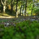 Chemin vers Cheylade