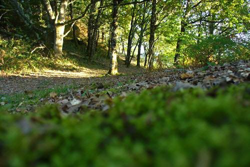 Chemin vers Cheylade