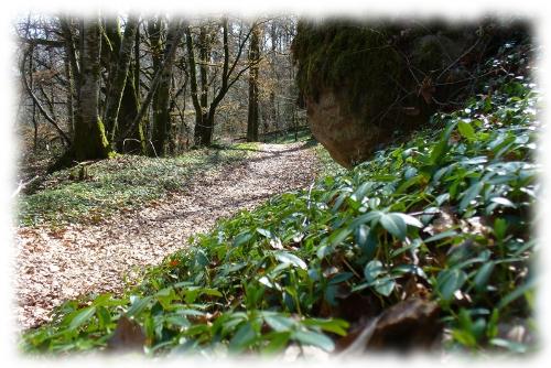 Descente des Orgues