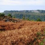 Les Orgues vue de Puy Morel