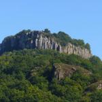 Les Orgues Vues de MADIC