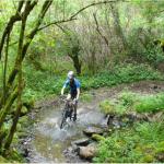 A travers un Ruisseau