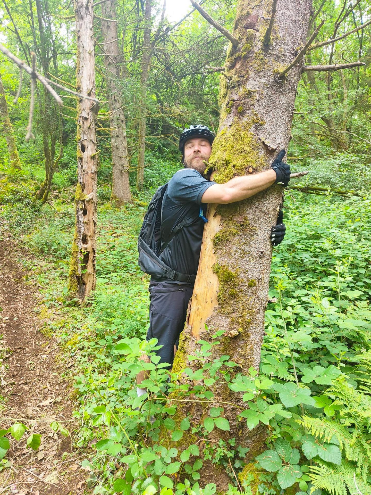 2022 jeff et son arbre une histoire d amour